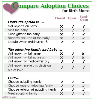 The Process of Adoption: Types of Adoption...